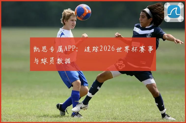 凯恩专属APP:追踪2026世界杯赛事与球员数据